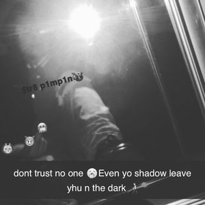 Meet your Posher, Brandon